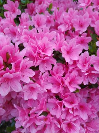 안길원님의 자유주제 · 자유게시판 작성글 사진