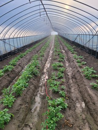 임한혁님의 자유주제 · 자유게시판 작성글 사진