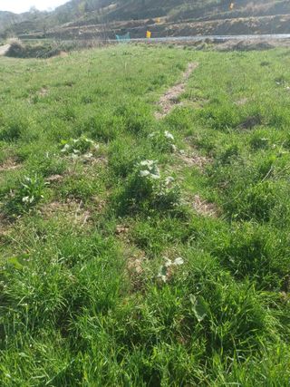 무료지식나눔 팜닥터님의 자유주제 · 자유게시판 작성글 사진