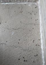 팜모닝 자유주제·자유게시판 게시글 이미지