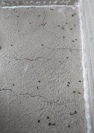 HMH님의 자유주제 · 자유게시판 작성글 사진