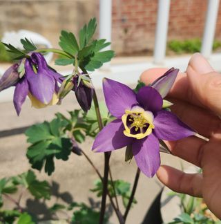 하은와송~♡♡♡~님의 자유주제 · 자유게시판 작성글 사진