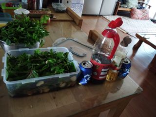 이현상홍길동건강즙님의 자유주제 · 자유게시판 작성글 사진