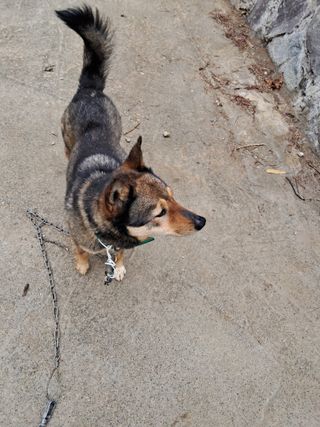 혜공 도봉현님의 자유주제 · 자유게시판 작성글 사진