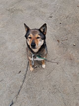 혜공 도봉현님의 자유주제 · 자유게시판 작성글 사진