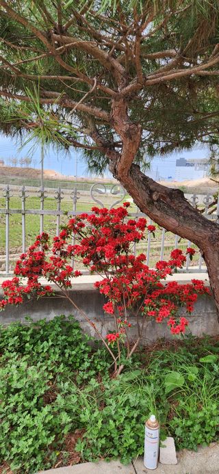 하은와송~♡♡♡~님의 자유주제 · 자유게시판 작성글 사진