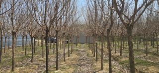 기중권님의 자유주제 · 자유게시판 작성글 사진