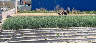 김길수님의 농사, 무엇이든 물어보세요! · 참여글 작성글 사진