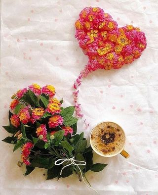 제주 지안이네농장님의 자유주제 · 자유게시판 작성글 사진