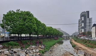 MSG0074님의 자유주제 · 자유게시판 작성글 사진