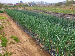 태산님의 자유주제 · 자유게시판 작성글 사진