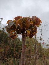 팜모닝 자유주제·자유게시판 게시글 이미지