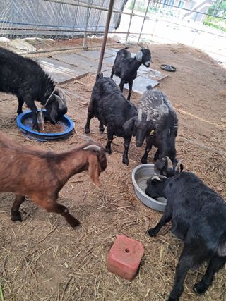 김석현님의 자유주제 · 자유게시판 작성글 사진
