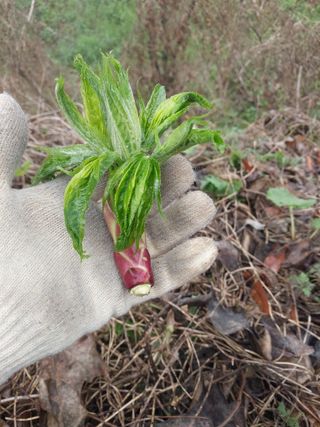서산팔봉농원님의 자유주제 · 자유게시판 작성글 사진
