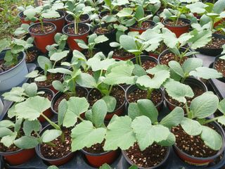 산성골농장님의 자유주제 · 자유게시판 작성글 사진