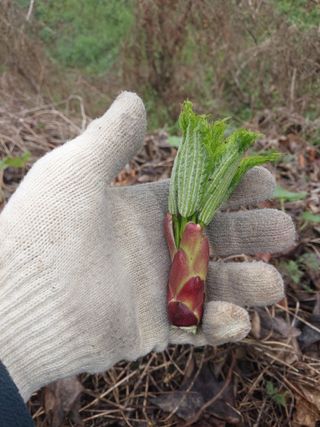 서산팔봉농원님의 자유주제 · 자유게시판 작성글 사진