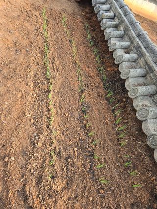 자연인님의 자유주제 · 자유게시판 작성글 사진