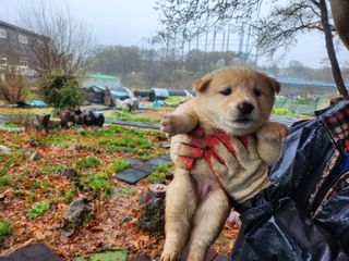 최재원 님의 자유주제 · 자유게시판 작성글 사진