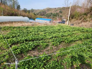 봉화랜드님의 자유주제 · 자유게시판 작성글 사진