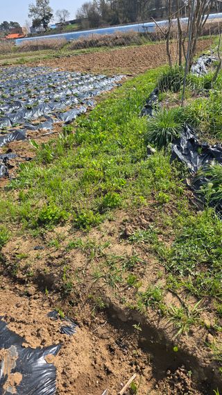 황규복(달구지)님의 자유주제 · 자유게시판 작성글 사진