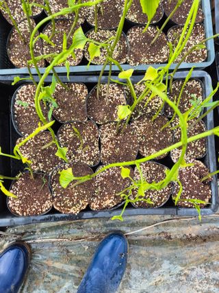 김영진(전남영광)님의 자유주제 · 자유게시판 작성글 사진