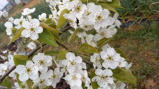 강현숙님의 자유주제 · 자유게시판 작성글 사진