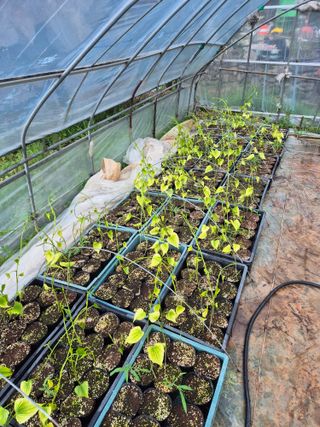 김영진(전남영광)님의 자유주제 · 자유게시판 작성글 사진