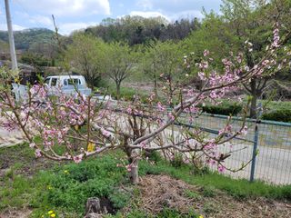 땅땅님의 자유주제 · 자유게시판 작성글 사진