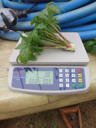 서산팔봉농원님의 자유주제 · 자유게시판 작성글 사진