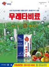 팜모닝 자유주제·자유게시판 게시글 이미지