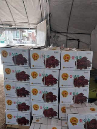 고두윤님의 자유주제 · 자유게시판 작성글 사진