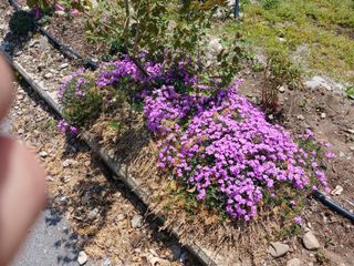 알 수 없음님의 자유주제 · 자유게시판 작성글 사진