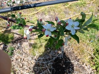 알 수 없음님의 자유주제 · 자유게시판 작성글 사진