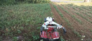 엄재식님의 🌿농부님의 제초법은? · 참여글 작성글 사진