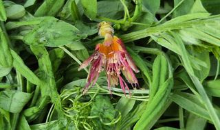 달맛햇복숭아농원님의 자유주제 · 자유게시판 작성글 사진