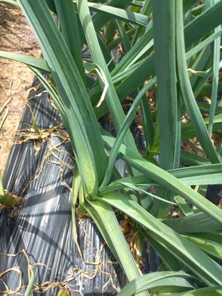 심무재 님의 자유주제 · 자유게시판 작성글 사진