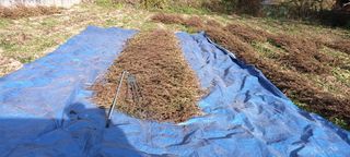 엄재식님의 🌿농부님의 제초법은? · 참여글 작성글 사진