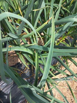 심무재 님의 자유주제 · 자유게시판 작성글 사진