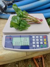 팜모닝 자유주제·자유게시판 게시글 이미지