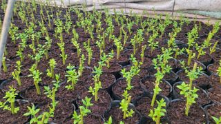 여우내 이순홍님의 자유주제 · 자유게시판 작성글 사진