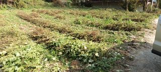 엄재식님의 🌿농부님의 제초법은? · 참여글 작성글 사진