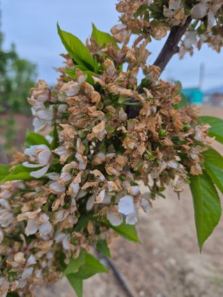 우리농원님의 자유주제 · 자유게시판 작성글 사진