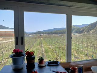 알 수 없음님의 자유주제 · 자유게시판 작성글 사진