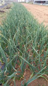 팜모닝 자유주제·자유게시판 게시글 이미지