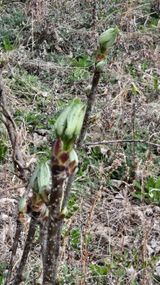 팜모닝 자유주제·자유게시판 게시글 이미지