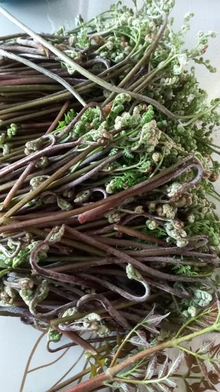 강현숙님의 자유주제 · 자유게시판 작성글 사진