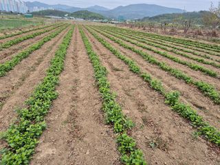 우리농원님의 자유주제 · 자유게시판 작성글 사진