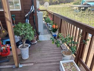 알 수 없음님의 자유주제 · 자유게시판 작성글 사진