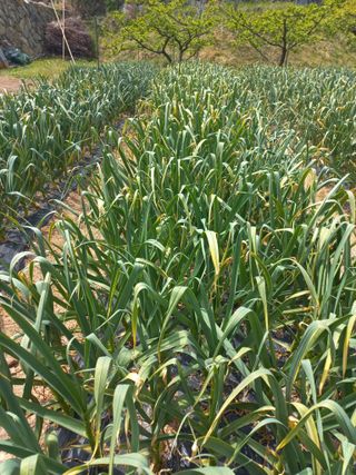 심무재 님의 자유주제 · 자유게시판 작성글 사진