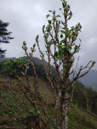 인생은 소풍처럼님의 자유주제 · 자유게시판 작성글 사진